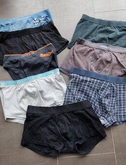 8.Herren Shorts/Underwear Gr.L/XL Blau/Grau/Schwarz Zara usw. - Köln