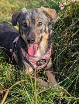 Naty möchte mit dir die Welt entdecken - Paderborn