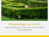 Gartenbau Lisana - Rheinfelden (Baden)
