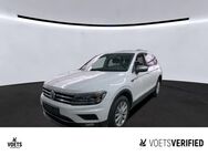 VW Tiguan, 2.0 TDI Allspace Highline, Jahr 2021 - Braunschweig