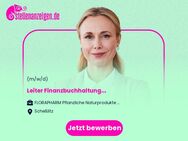 Leiter (m/w/d) Finanzbuchhaltung - Scheßlitz