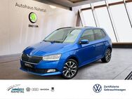 Skoda Fabia, 1.0 TSI Drive 125 Best of 16 SMART LINK, Jahr 2020 - Idar-Oberstein