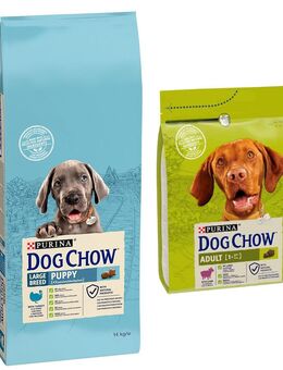 14 kg PURINA Dog Chow + 2,5 Adult Lamm Trockenfutter gratis! - Puppy Large Breed Truthahn