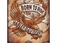 Tolles Harley-Davidson Blechschild Born to Ride Motorrad Biker 30x40 cm - Nostalgic-Art - Berlin