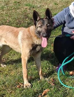 LEXA ❤️ EILIG! - Langenhagen