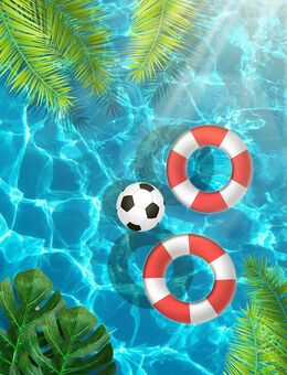POOLHEIZUNG, POOL BEHEIZEN, Schwimmbecken, Solar, kein Strom, keine Umbaute, Anlieferung und Aufbau - Gera