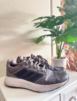 Herren Sneaker Adidas cloudfoam grau Laufschuhe - Rottenburg (Laaber)