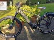 AS Bikeshop: Bikkel FORCA (ATB) Disk 12-G-Shimano SLX 85Nm Mittelmotor 720Wh IntubeAkku - Wegberg