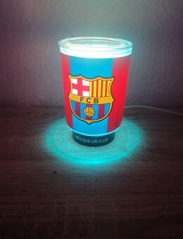 Duftlampe von Scentsy in der Fußball Edition - Hamm