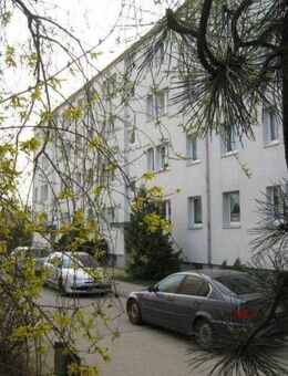 Mit Balkon: Günstige 3-Zimmer-Wohnung (frisch renoviert) - Kemberg