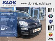 Fiat Panda, 1.2 EASY 69PS, Jahr 2019 - Kirn