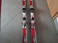 Völkl Carving Ski Speed Wall GS 175 cm - Bonn Ückesdorf