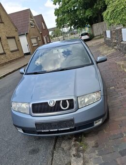 Skoda Fabia - Heide