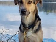 Faye aus 47798 Krefeld sucht! - Krefeld