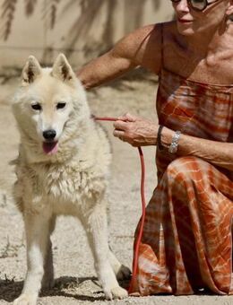 Afri, klug, kontaktfreudig, sportlich - Westerholt