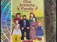 DVD | Eine fröhliche Familie |komplette Serie|Little Women| anime - Dresden