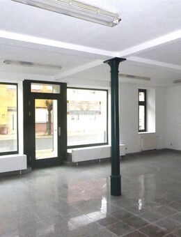 Individuell gestaltbare Wohnung in Pegau - Pegau