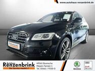 Audi SQ5 3.0 TDI Competition quattro Xenon,Navi uvm. - Bramsche