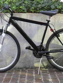 Cooles MTB-Fahrrad, California Flash, B23/081 - Aarau