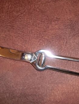 Geflügelschere Chrom / 26 cm lang - Duisburg