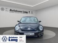 VW Beetle, 1.2 TSI Cabriolet Design Komfort-Paket 8-fach bereift Design, Jahr 2017 - Rottenburg (Laaber)