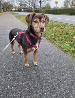 LUNA ❤️ einfach liebevoll, Kevelaer - Kissing