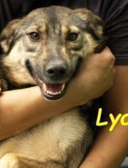 Lyalya1 mit besonderer Ausstrahlung 6/22 - Ruppertsecken