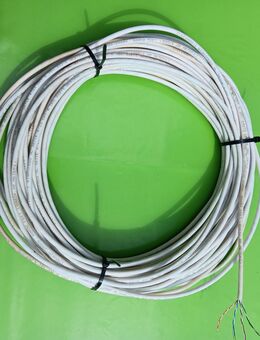 Twisted-Pair Kabel/Netzwerkkabel/Telefonkabel - Kolkwitz