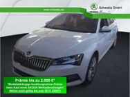 Skoda Superb, 1.5 TSI Combi Style, Jahr 2024 - Gersthofen