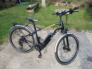 EBike Bulls STREET CX 2023 Performance mit 500 Wh Li-Io Akku - Wallscheid