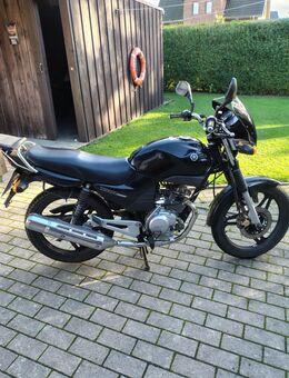 Yamaha YBR 125 - Drochtersen