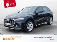 Audi Q5, 40 TDI q ", Jahr 2022 - Insingen