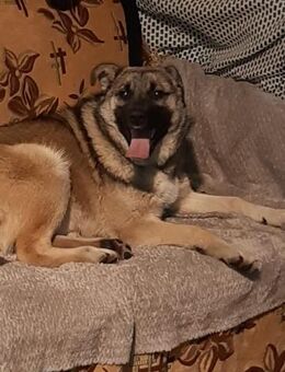 Lilja - Mönchengladbach