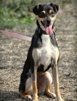 Kris ist ganz einfach im Umgang - Brunstorf