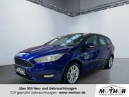 Ford Focus, 1.6 Trend abn, Jahr 2018 - Brandenburg (Havel)