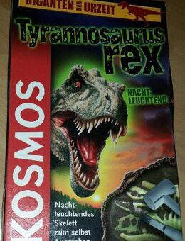 Giganten der Urzeit: Nacht leuchtend Tyrannosaurus Rex - Verden (Aller)