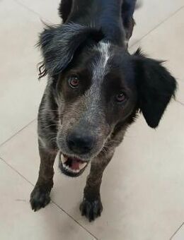 Wundervolle Melody - Berlin