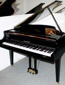 Flügel Hyundai G-50A, schwarz poliert, Baujahr 1993, 5 Jahre Garantie in 21272