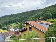 Luxuriöse 5-Zimmer-Wohnung mit herrlichem Blick in Ziegelhausen - Heidelberg
