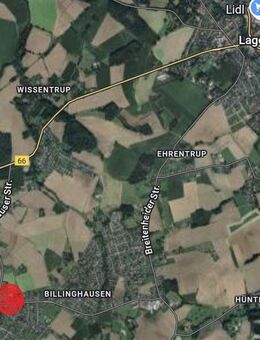 Reihenhäuser mit Grundstück - schlüsselfertig in Lage-Billinghausen - Lage (Nordrhein-Westfalen)