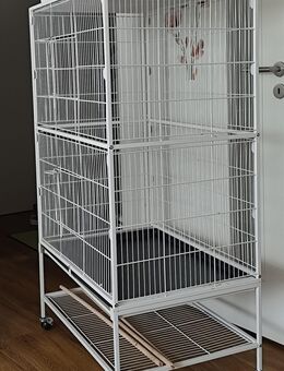 Vogel Käfig auf Rädern - Rostock Lichtenhagen