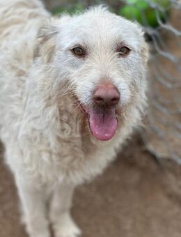 HAKUNA - so hübsch und so nett - Dänischenhagen