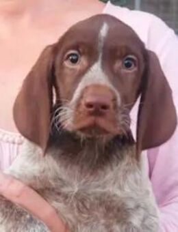 BEN - er sucht sein Ticket ins Glück - Regensburg