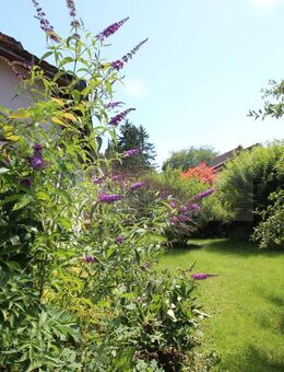 Rückzugsort und Lebensqualität - Gartenparadies mit Privatsphäre - gepflegtes Einfamilienhaus mit Traumgrundstück in ruhiger Lage von Donaueschingen - Donaueschingen