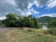 Großes Baugrundstück (1500 m²) über den Dächern von Lambrecht - Lambrecht (Pfalz)