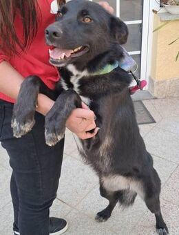 Flora ist wunderbar - Donaueschingen