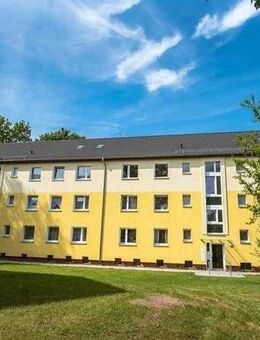 Sanierte 2-Zimmer-Wohnung mit Balkon - Geesthacht