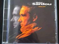 Michel Sardou Salut - Essen