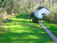 Reizvolles, komplett ausgebautes Gartenhaus in ruhiger Grünlage, Internetzugang - Essen