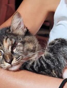 Sehbehinderte Kiraz sucht ihre Familie - Neuss